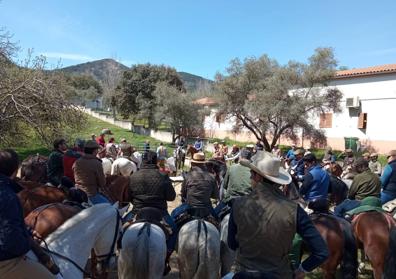 Imagen secundaria 1 - Algunos momentos del XXIX Día del Caballo de Monesterio 