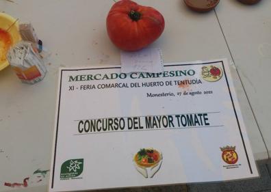 Imagen secundaria 1 - Elaborando sopones; tomate ganador del concurso y cartel reivindicativo de la sequía 