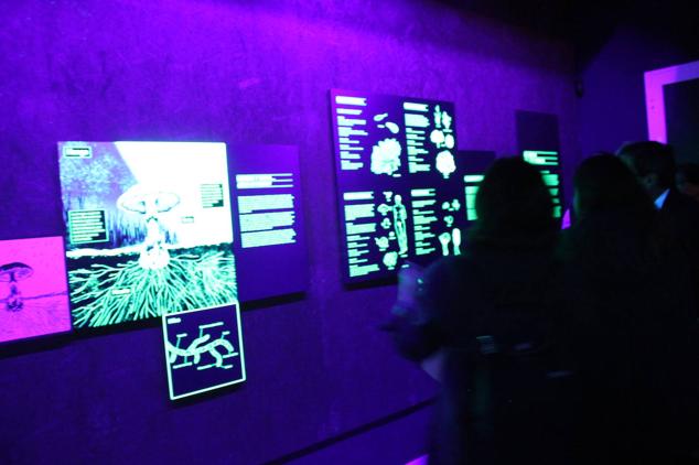 Es el primero de la región de estas características 