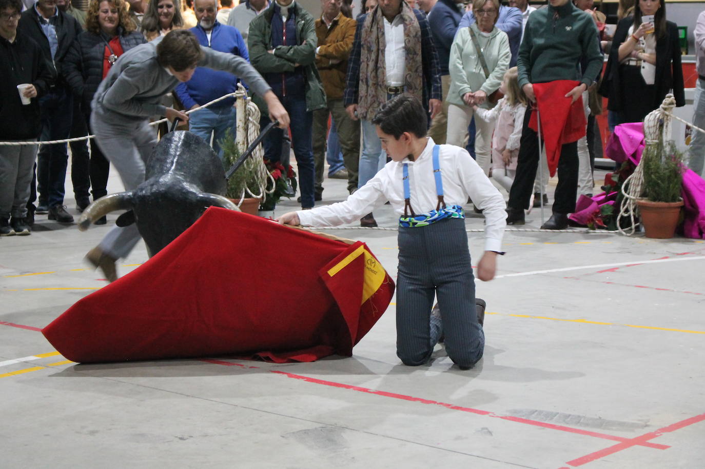 En imágenes, la I Jornada del Toro 'Villa de Monesterio' (Parte II)