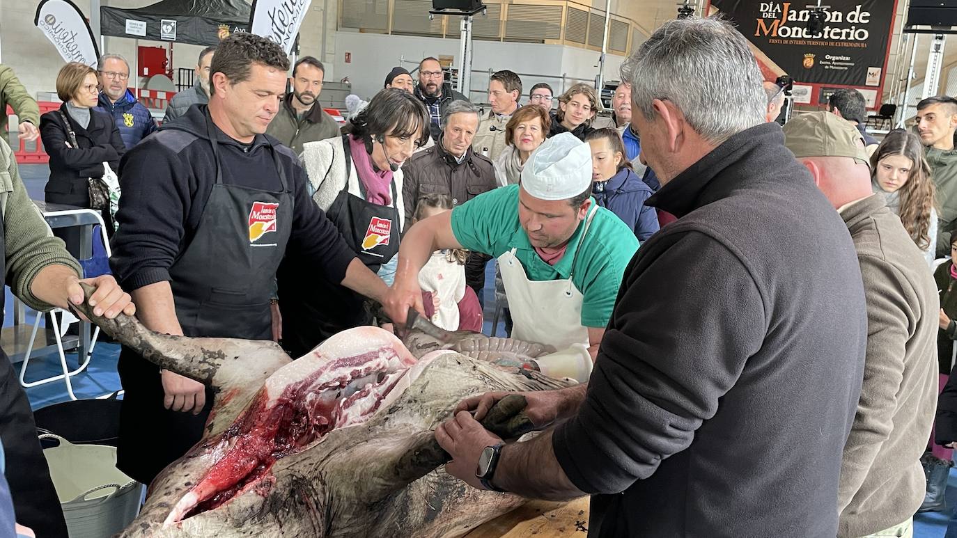 La XXII Matanza Tradicional del Cerdo Ibérico de Monesterio, en imágenes