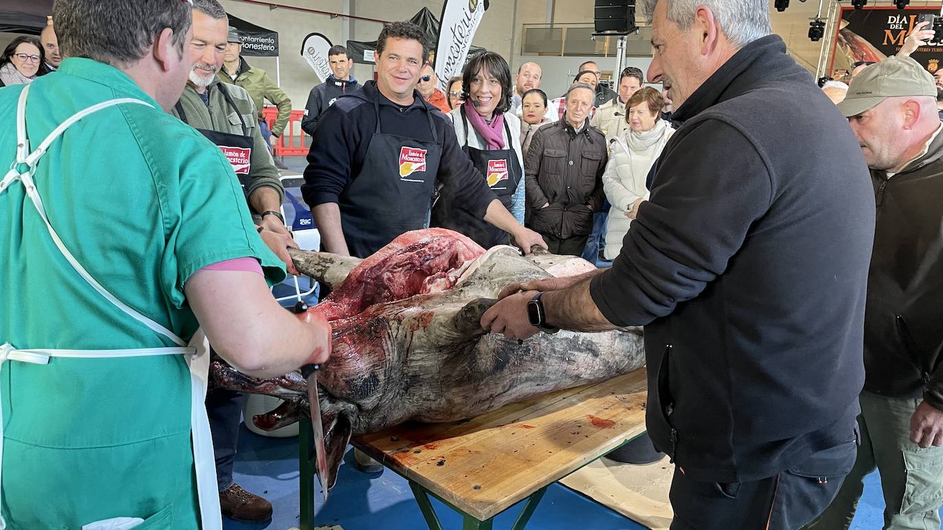 La XXII Matanza Tradicional del Cerdo Ibérico de Monesterio, en imágenes
