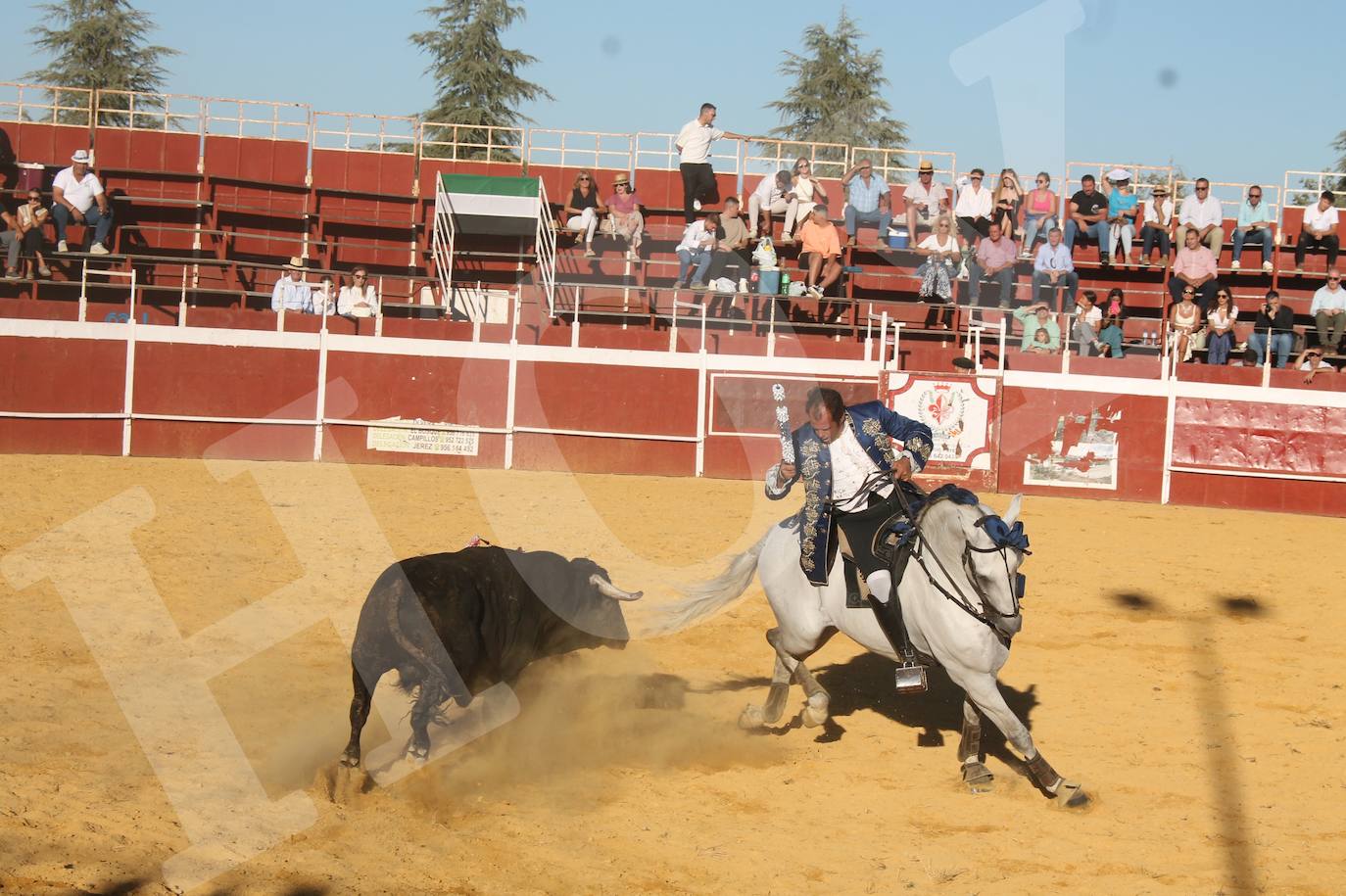 El Festejo Taurino de Monesterio homenaje a Eulalio Murillo, en imágenes
