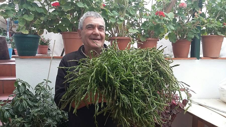 En plena temporada de ‘rabiacanes’, comienzan a llegarnos instantáneas de recolectas