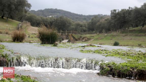 Una de las entradas de agua al pantano de Tentudía, el sábado 