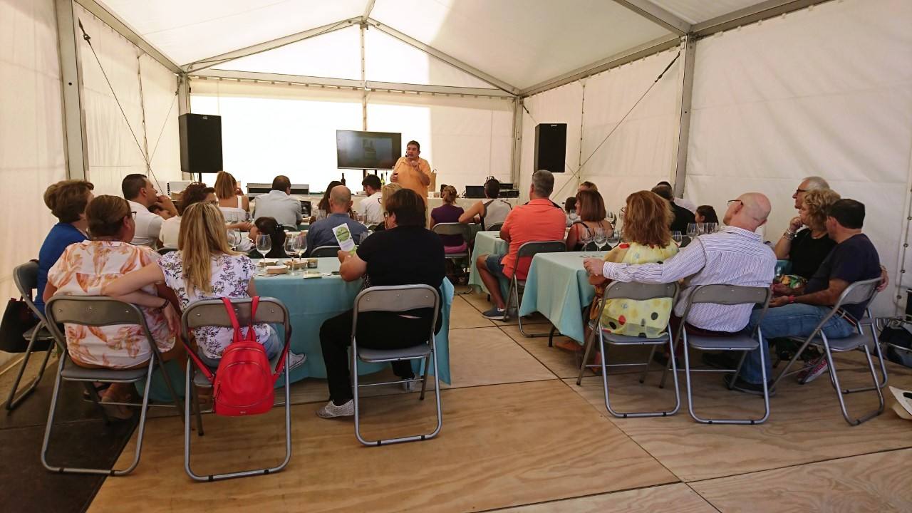 Mucho calor y mucho público en la calle, en las plazas, en bares y en terrazas y en la mayoría de las actividades realizadas. Así se podrían resumir, a grandes rasgos, las fiestas de San Miguel, aunque lógicamente cada uno hará su propio balance en función de lo que haya disfrutado. Porque también hay quien se queja del exceso de ruidos, de la acumulación de basuras y de la falta de civismo. Repasamos las fiestas en casi 30 fotografías, aunque podrían ser muchas más.