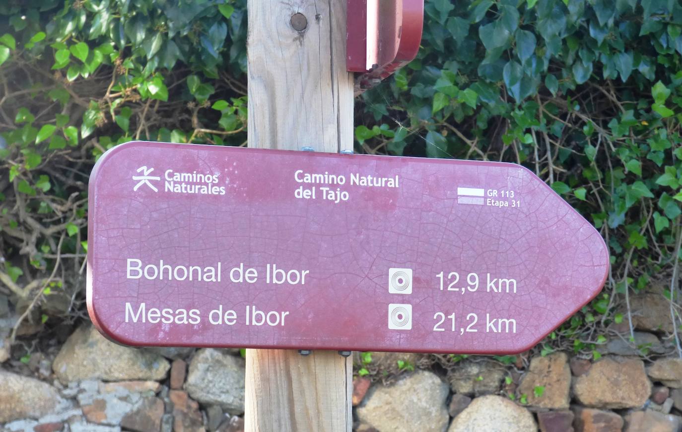 Fotos: Peraleda de San Román vive una jornada alrededor de la aceituna y el aceite de oliva