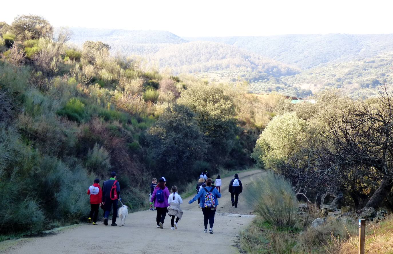 Fotos: Peraleda de San Román vive una jornada alrededor de la aceituna y el aceite de oliva