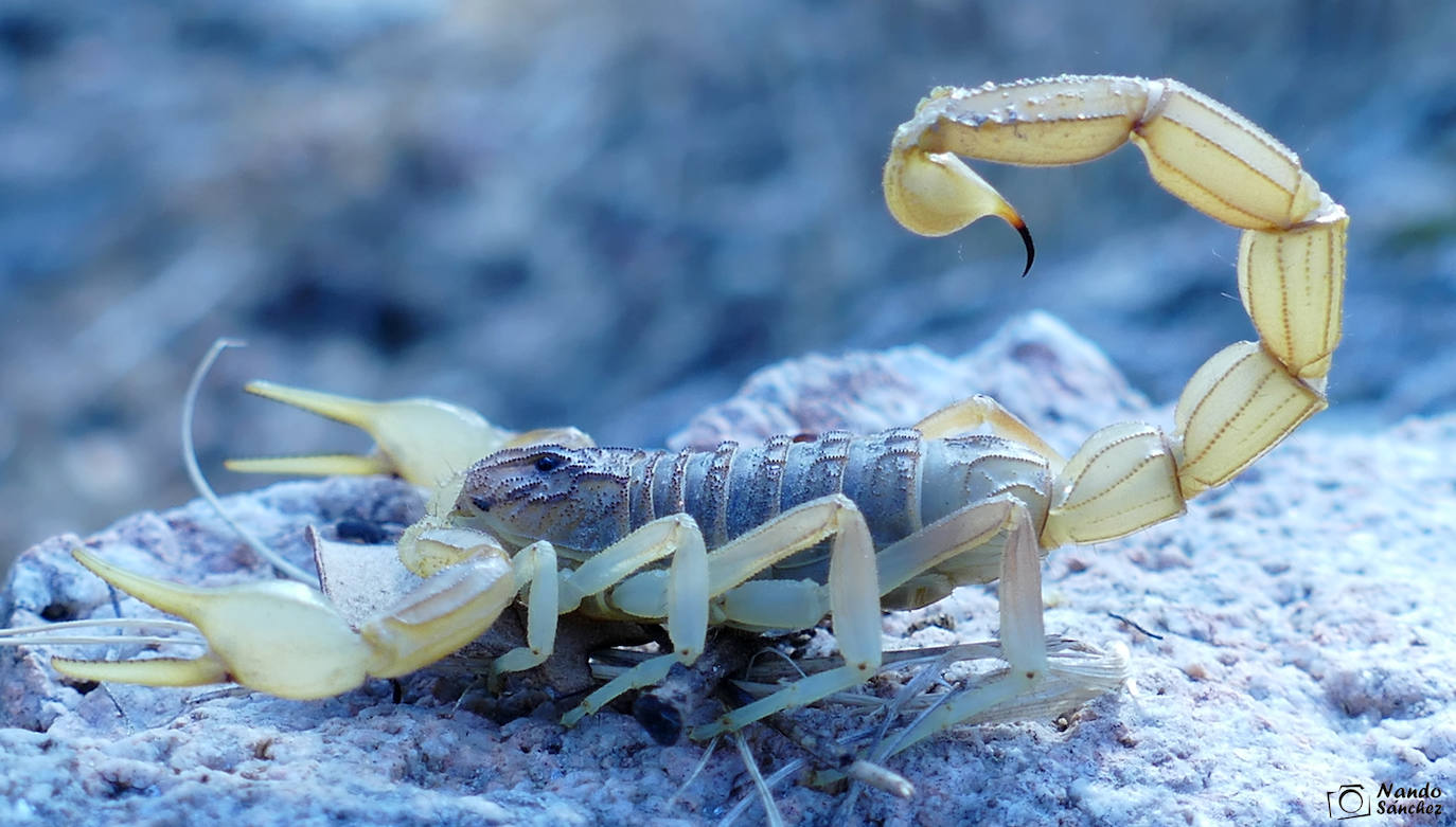 Una de sus espectaculares fotografías 