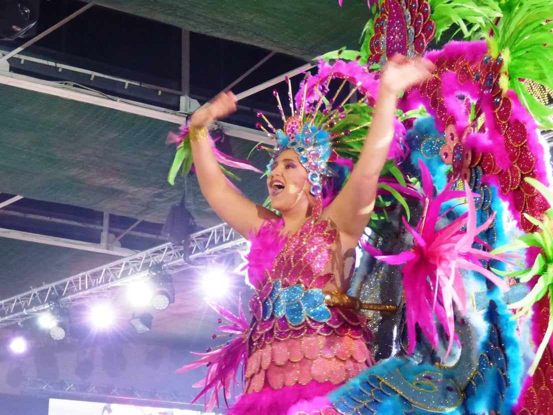 Fotos: El Carnaval ya tiene reinas