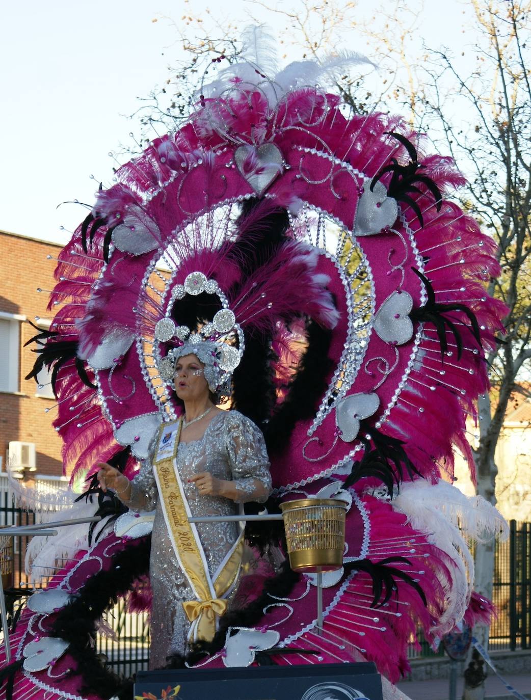Fotos: Desfile de carrozas y comparsas