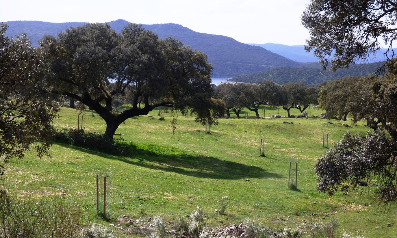 Fotos: I Convivencia de Naturaleza