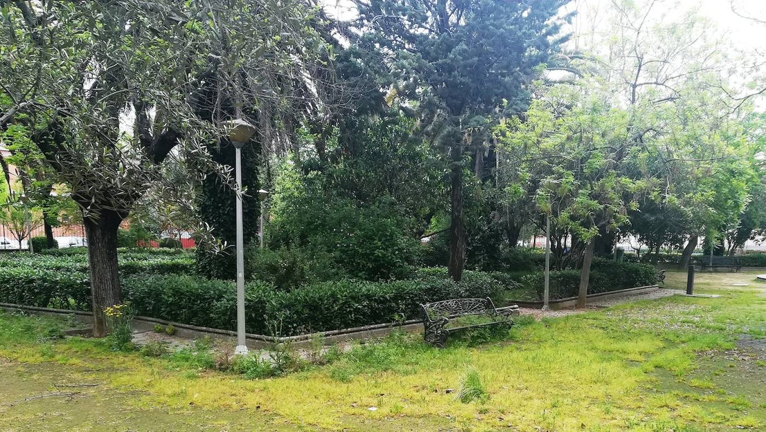 Fotos: Imágenes de un mes de confinamiento