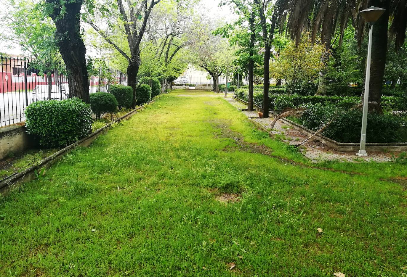 Fotos: Imágenes de un mes de confinamiento