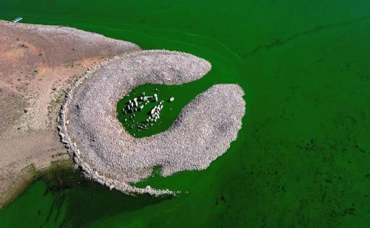 El dolmen entre el agua y la tierra 