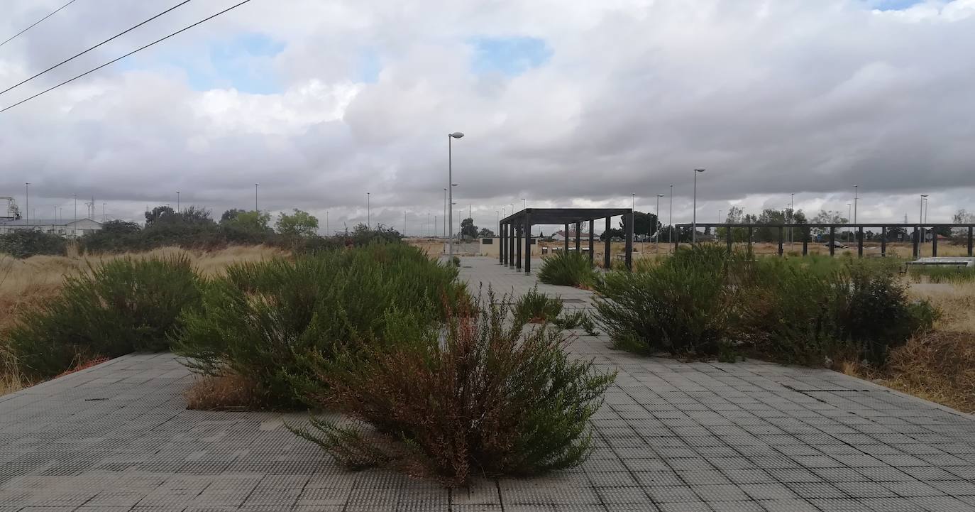 Fotos: Urbanización Los Viñazos, ¿de basurero a ferial?