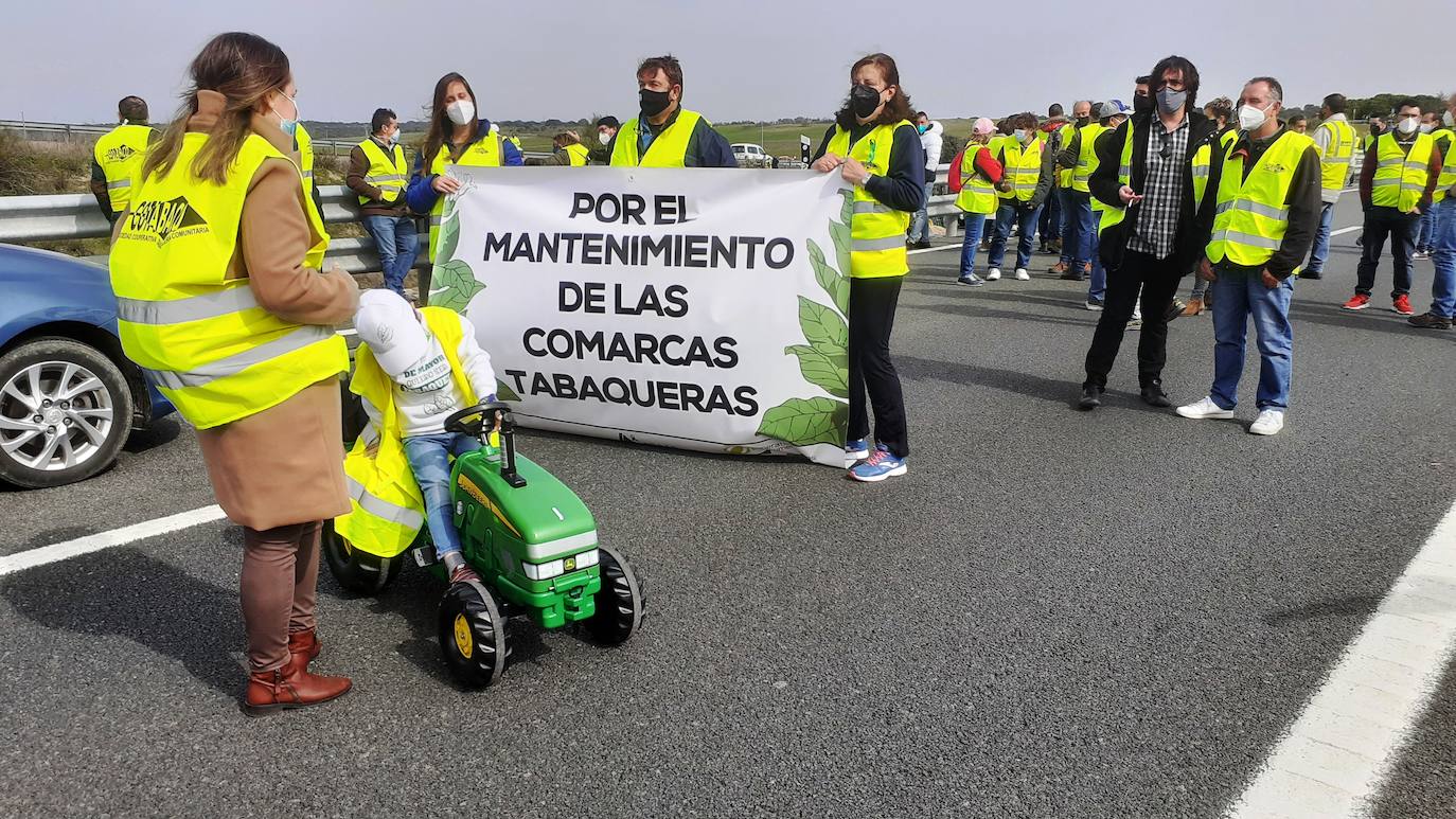 Fotos: Protesta tabaquera en la autovía de Extremadura