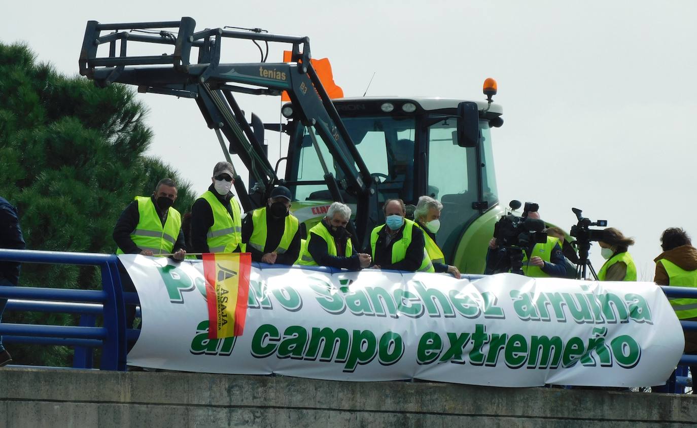 Fotos: Protesta tabaquera en la autovía de Extremadura