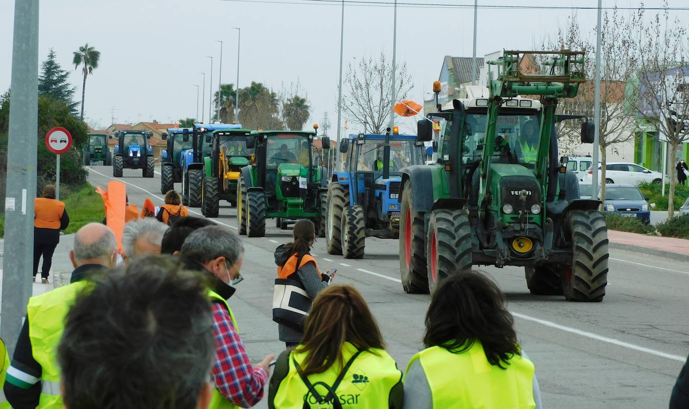 Fotos: Protesta tabaquera en la autovía de Extremadura
