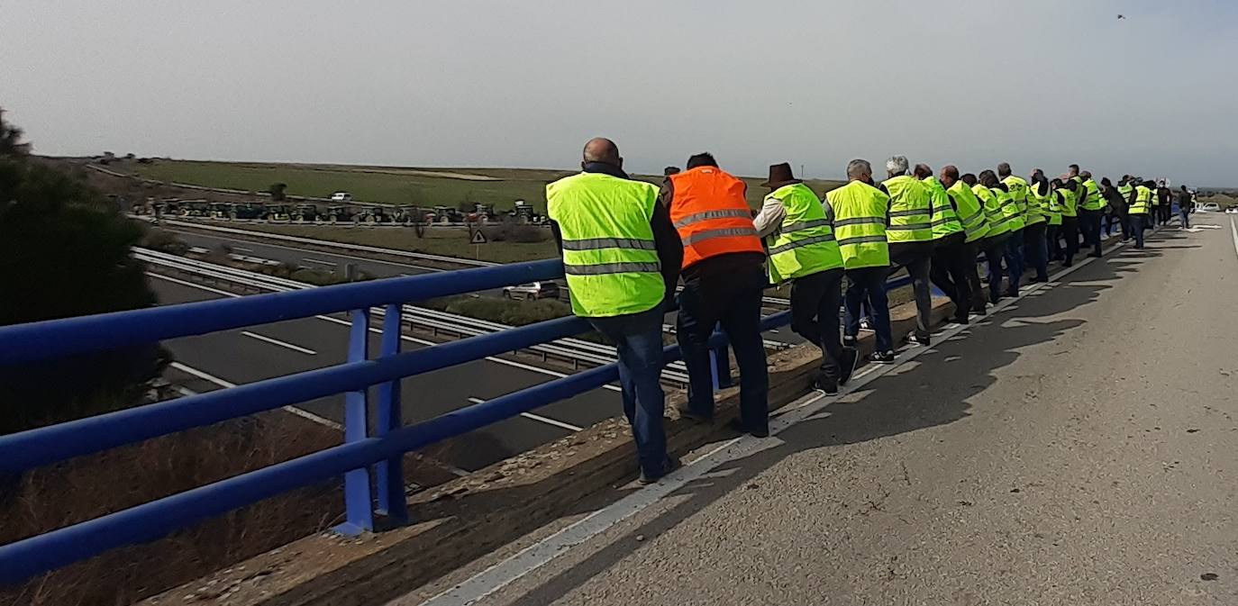 Fotos: Protesta tabaquera en la autovía de Extremadura