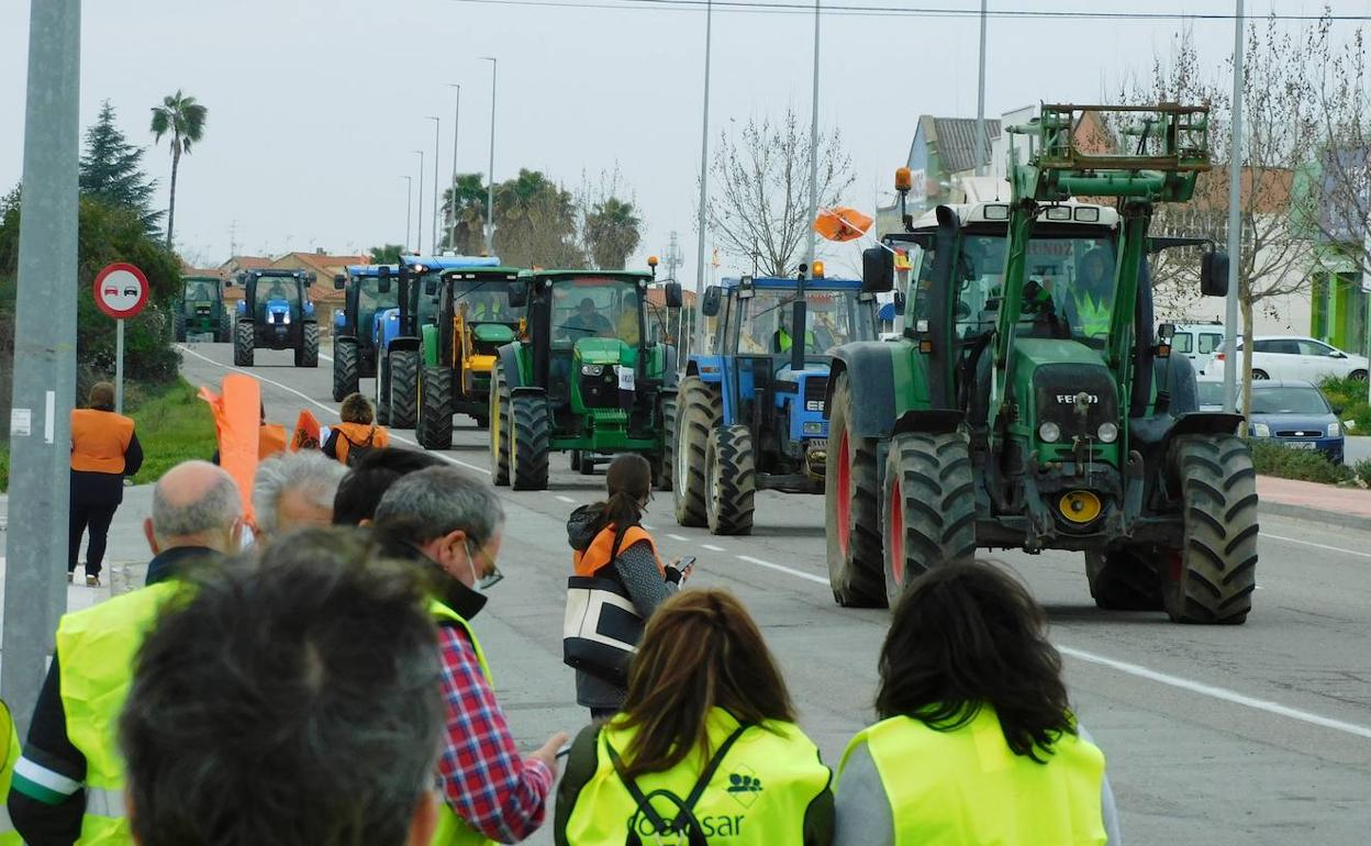 Las movilizaciones del tabaco se posponen a la espera de una reunión con el ministro de Agricultura