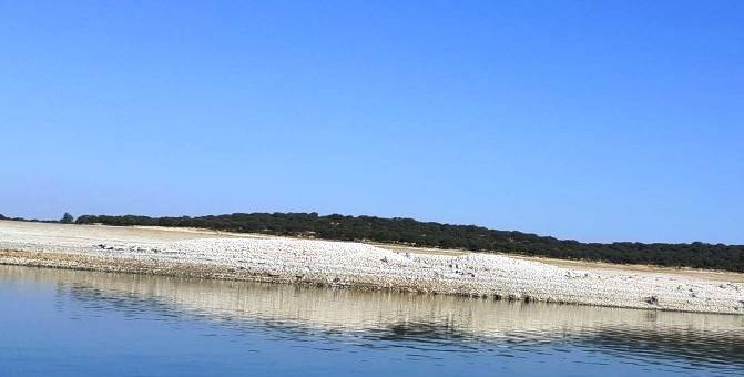 Fotos: Visita al dolmen de Guadalperal