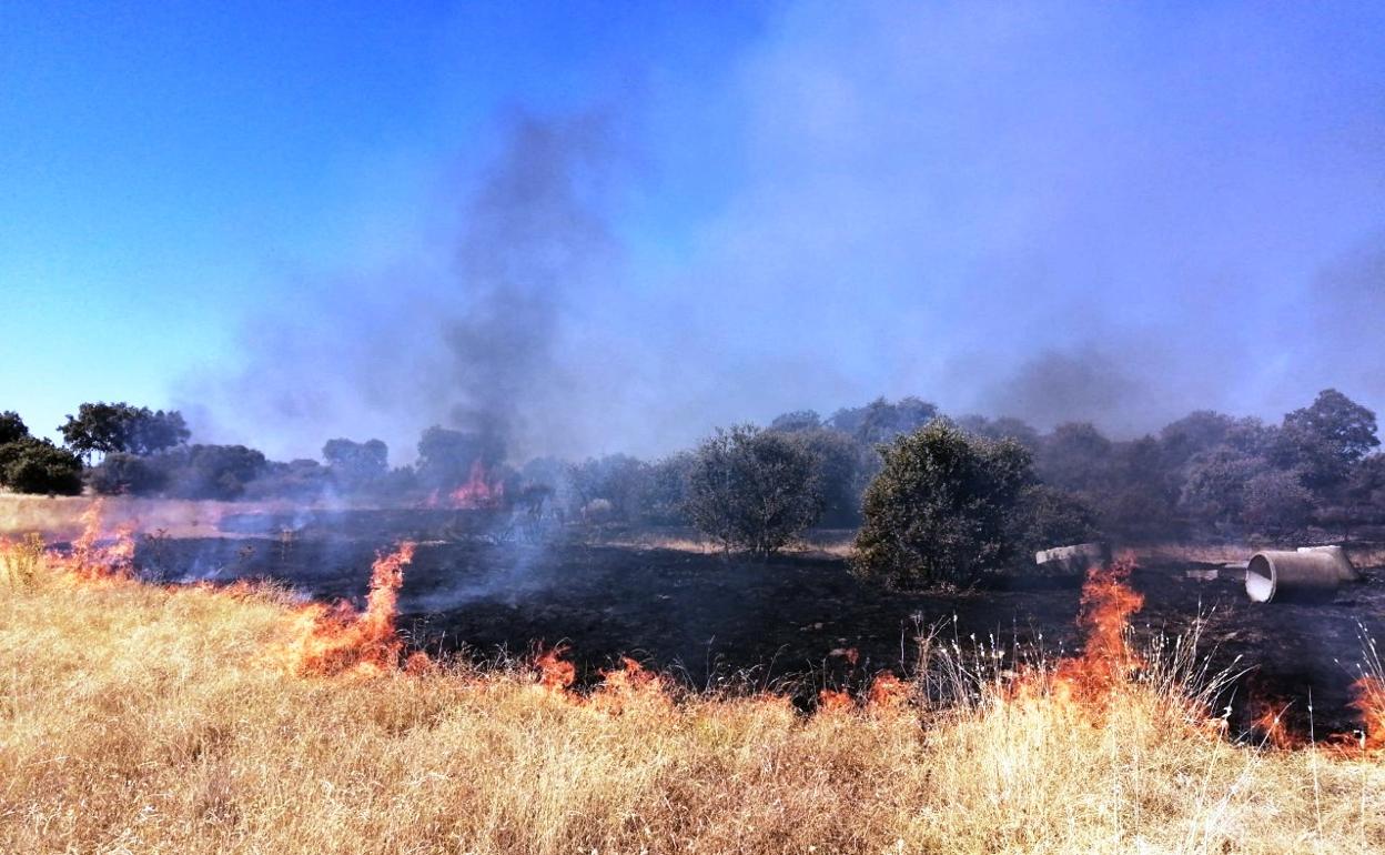 Incendio de pastos en el polígono expacionavalmoral