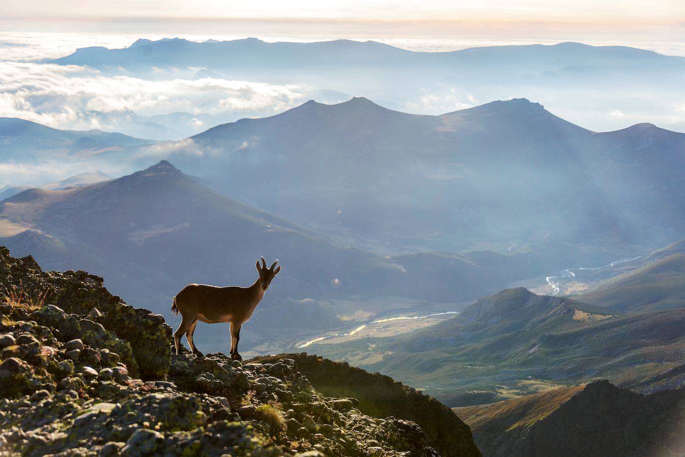 Fotos: La naturaleza en fotografías de Rafa Ruiz