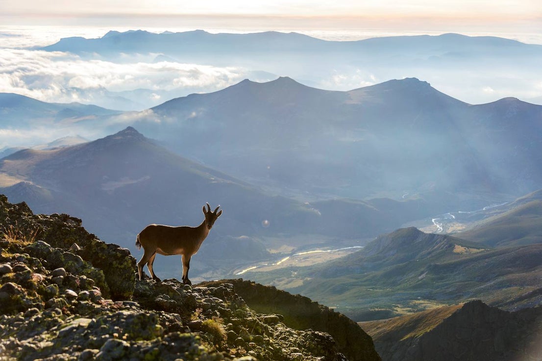 Fotos: La naturaleza en fotografías de Rafa Ruiz