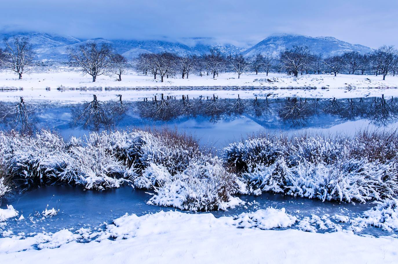 Fotos: La naturaleza en fotografías de Rafa Ruiz
