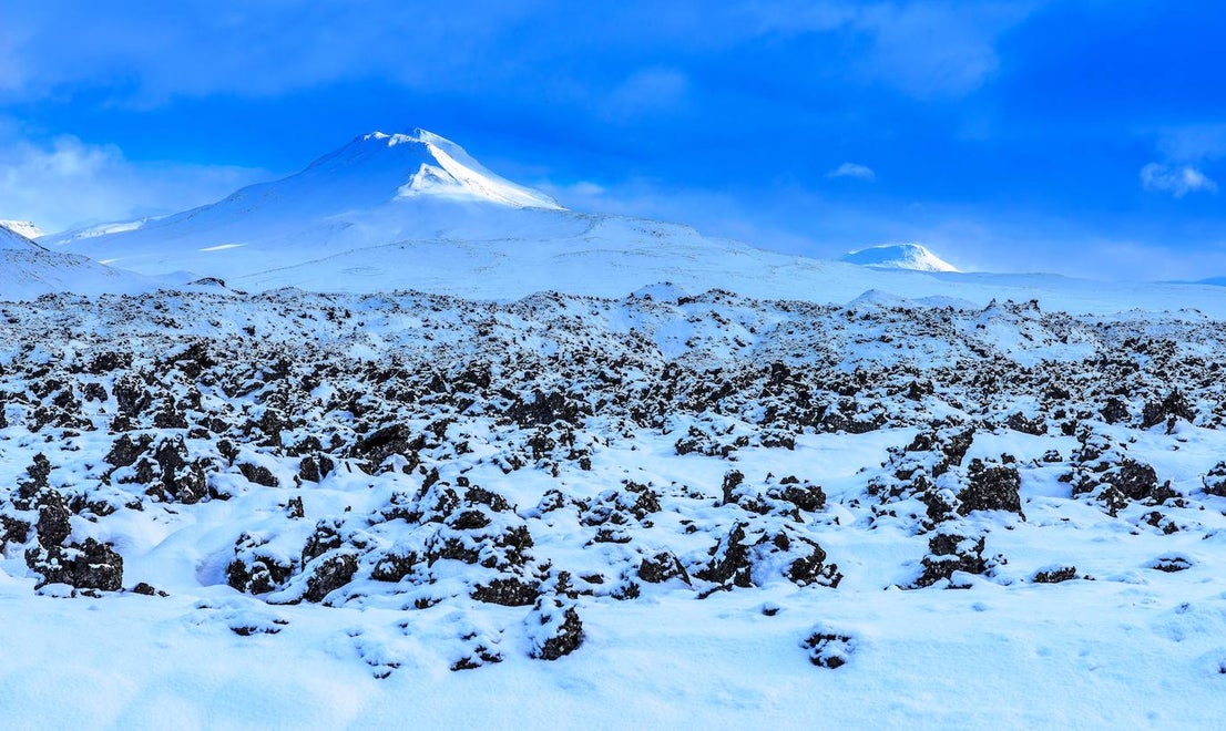 Fotos: La naturaleza en fotografías de Rafa Ruiz