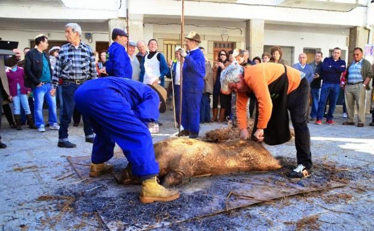 Imagen de una matanza anterior a la pandemia 
