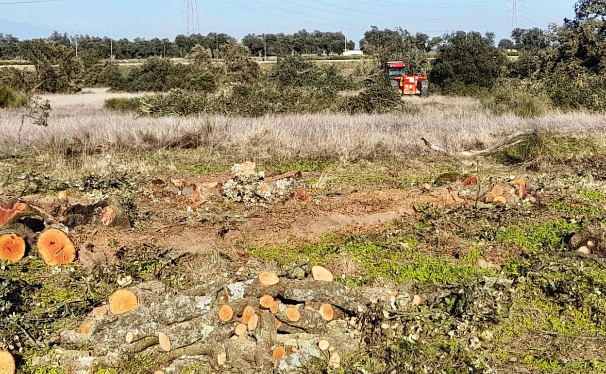 Cristian Lay inicia los trabajos previos para construir la fábrica de envases