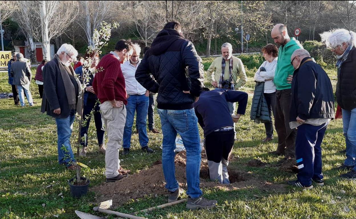 Nueva plantación en el Bosque del Recuerdo para no olvidar a las víctimas de Fukushima