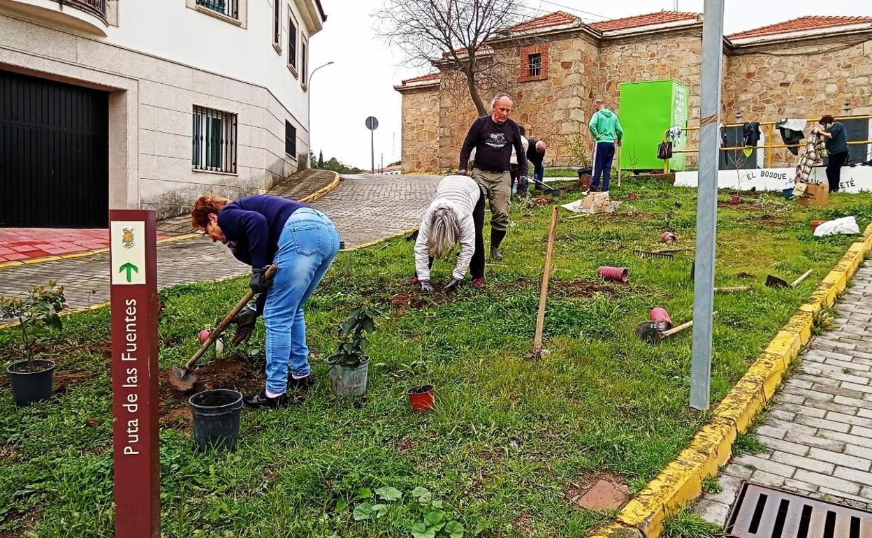 Plantación en las traseras del Espacio para la Creación Joven 