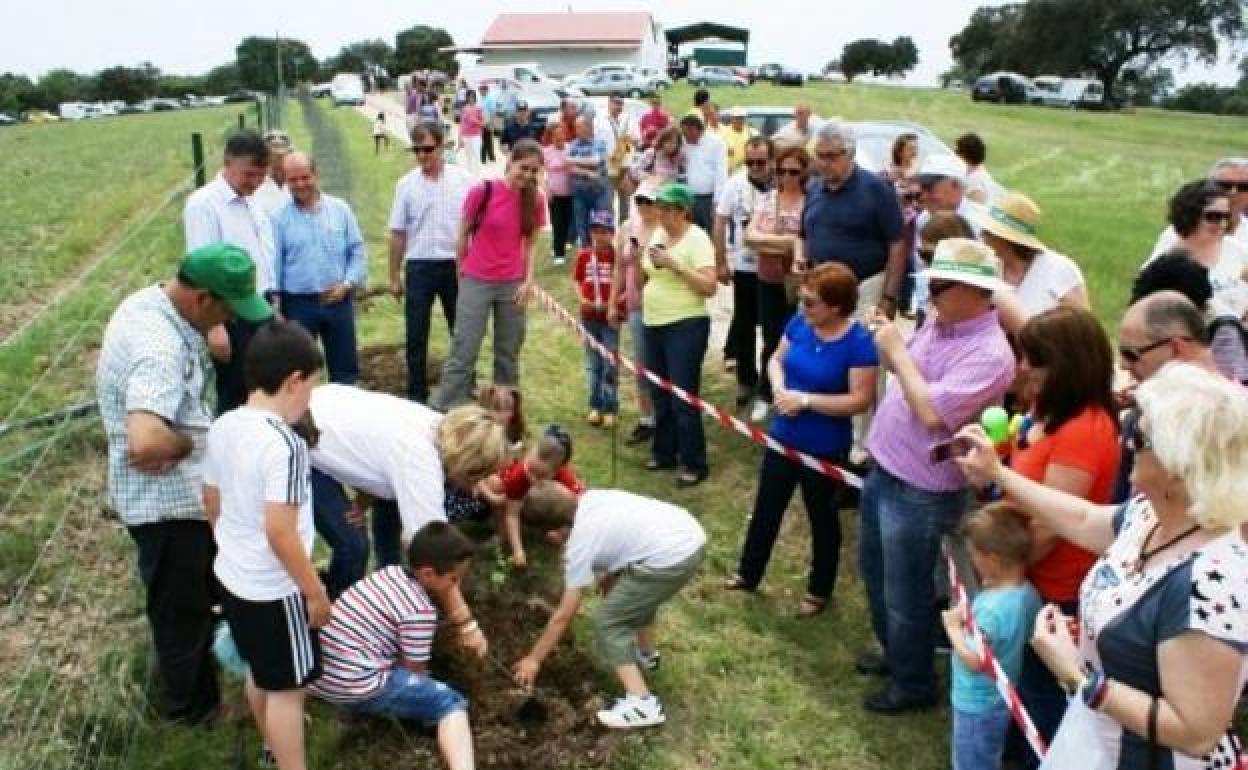 Se plantarán 22 ejemplares, uno por cada edición de la fiesta 