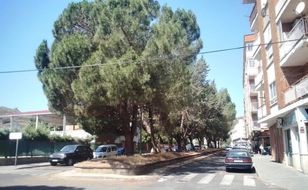 El inicio de la remodelación de la avenida del Magisterio se retrasa