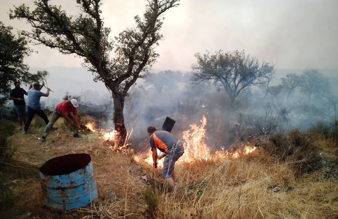 Fotos: Los incendios, en imágenes