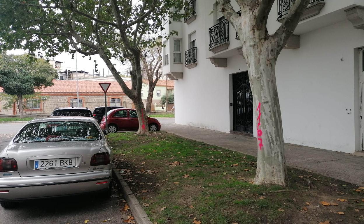 Dos de los árboles marcados junto a la vía 