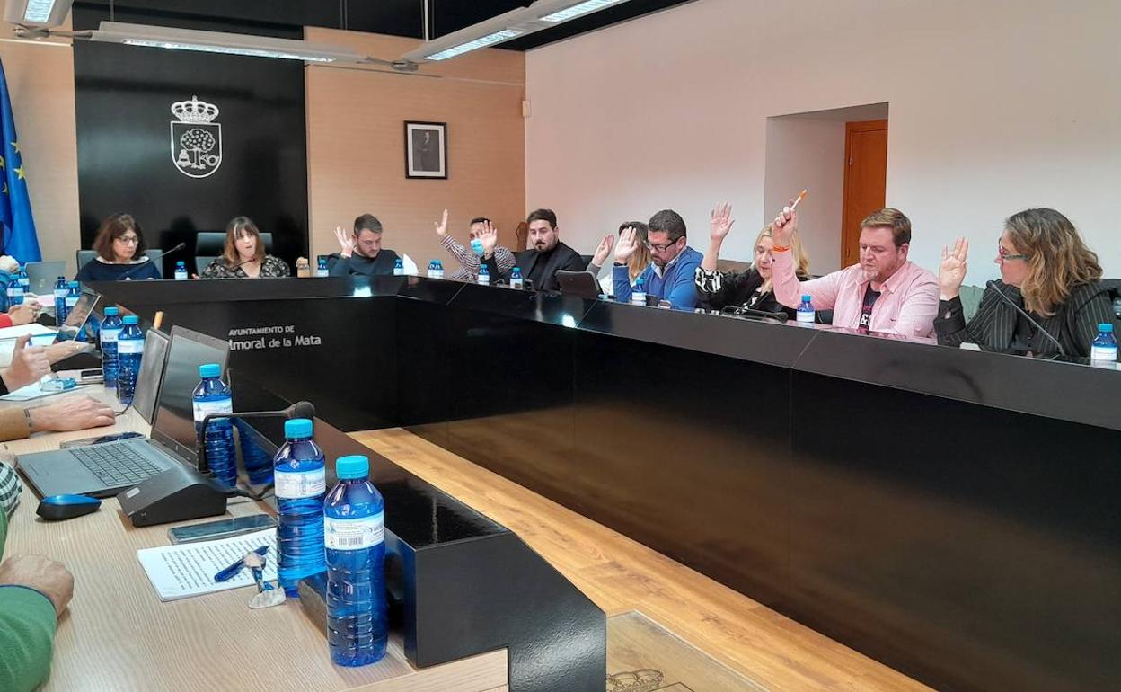 Votación del equipo de gobierno en el pleno 