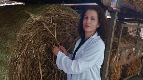 «Cetarsa vela por el mantenimiento agrícola de la zona, no solo del tabaco» 
