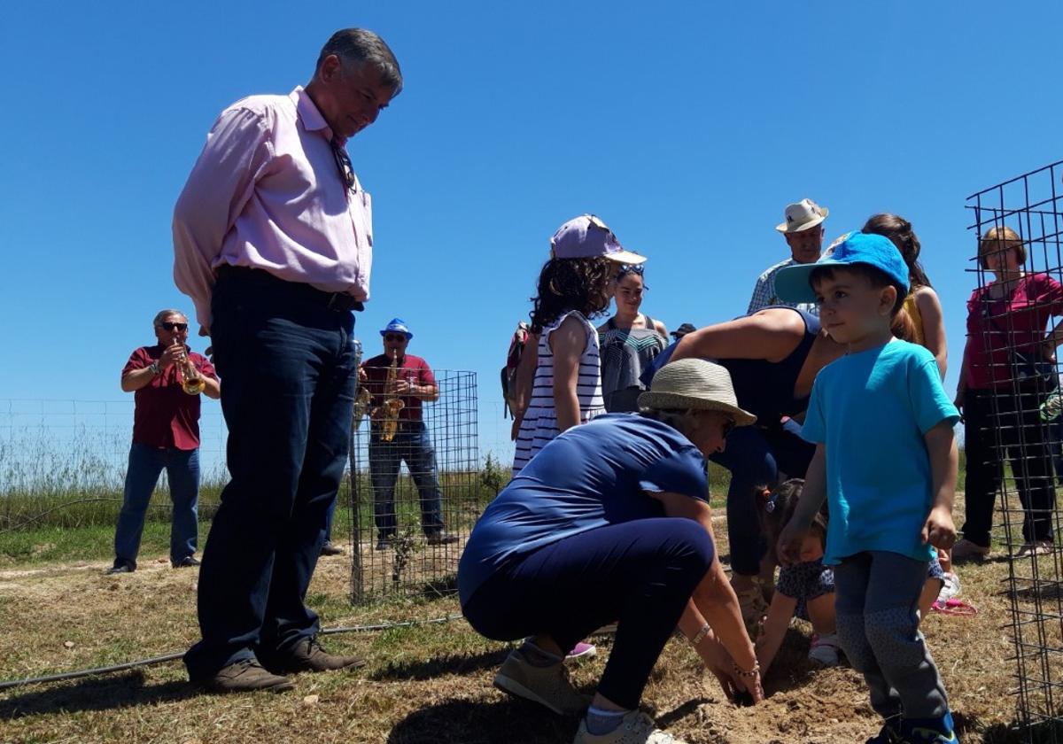 Plantación de encinas de una edición anterior