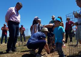 Plantación de encinas de una edición anterior