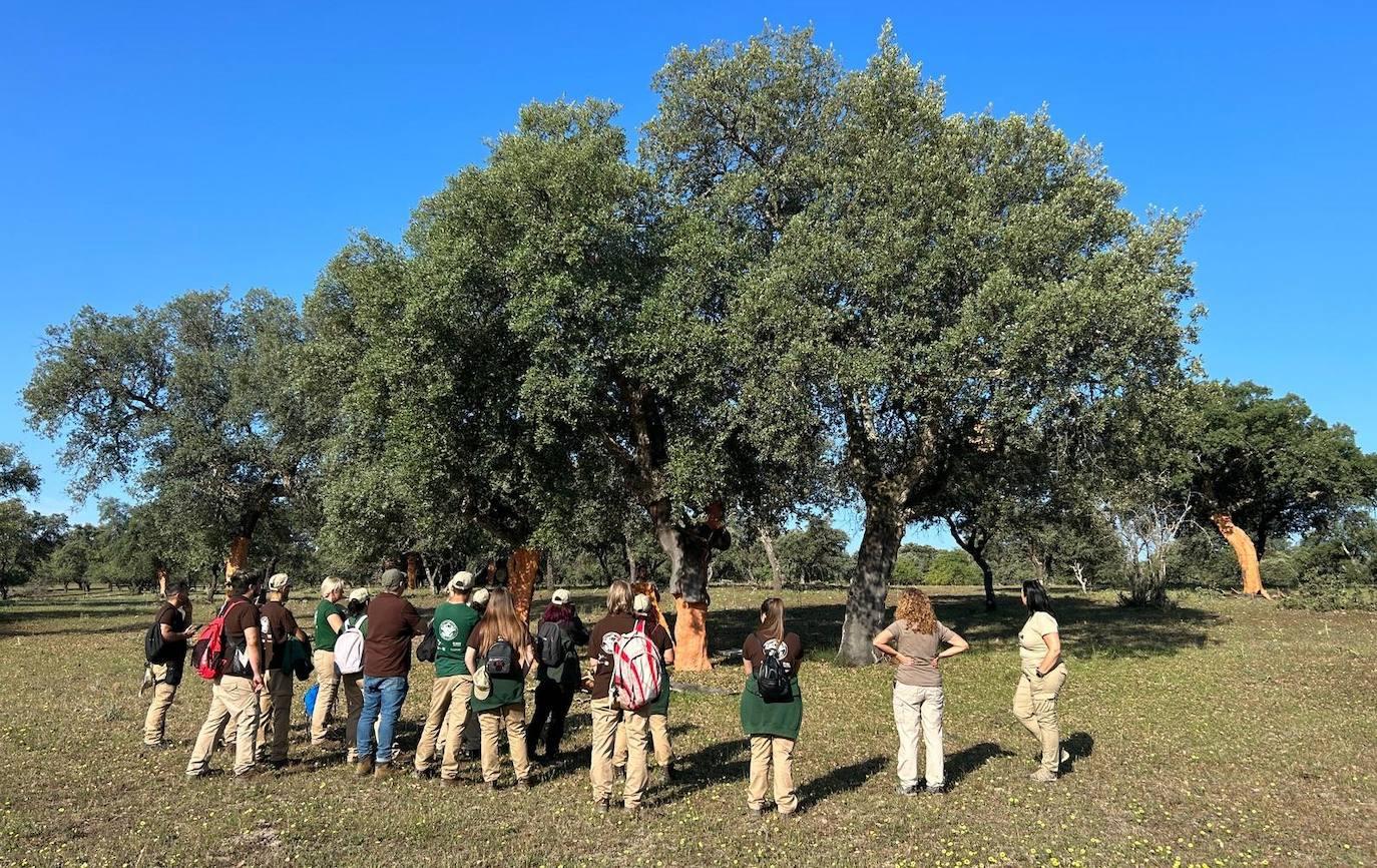 Jornadas del Descorche en Toril