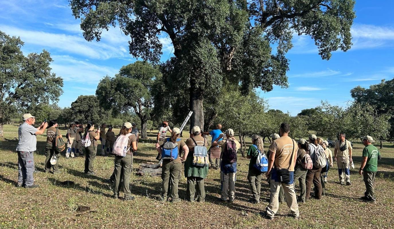 Jornadas del Descorche en Toril