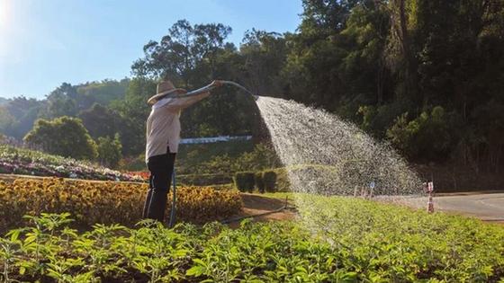 El alcalde de Romangordo pide la colaboración vecinal ante la escasez de agua