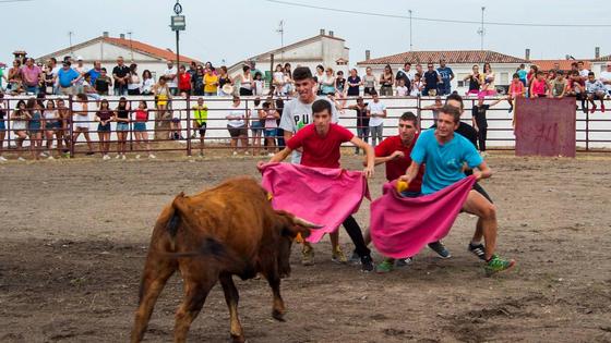 La escritora Marta San Román, pregonera de las fiestas de Rosalejo