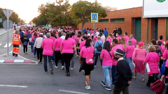 Una nueva Marcha Rosa recorrerá el jueves el centro urbano