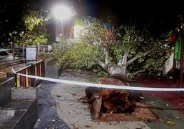 Los rastros de la borrasca