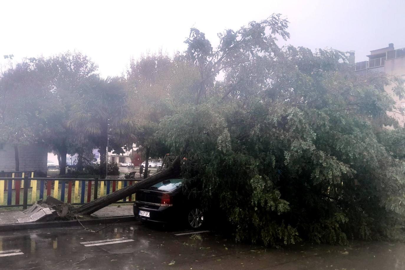 Los rastros de la borrasca